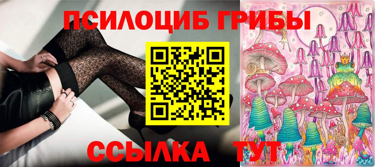 Альметьевск  Галлюциногенные грибы Magic Shrooms  Вход с VPN 