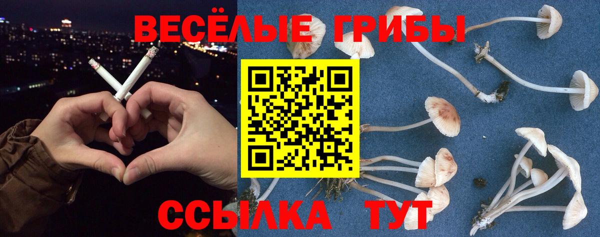 Псилоцибиновые грибы Psilocybine cubensis Альметьевск